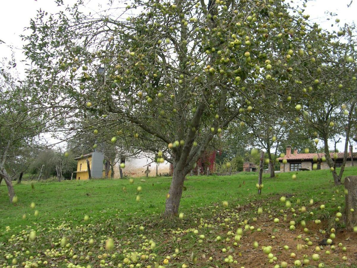 Turismo Rural El Sidron Konuk evi Piloña Dış mekan fotoğraf