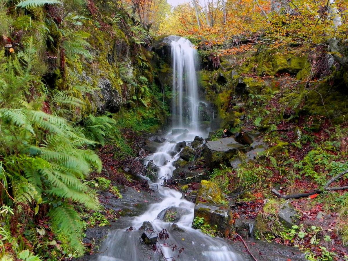 Turismo Rural El Sidron Konuk evi Piloña Dış mekan fotoğraf