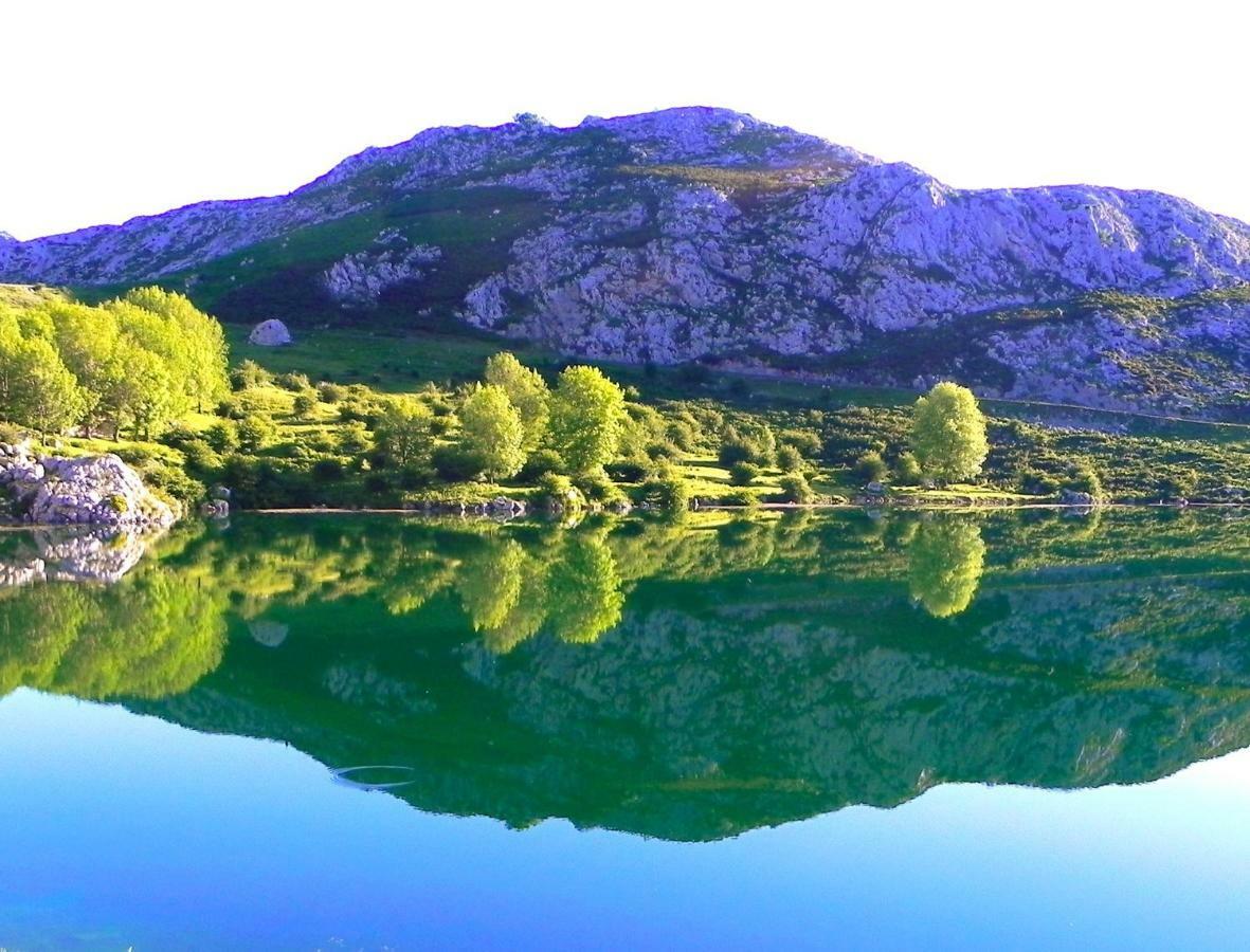 Turismo Rural El Sidron Konuk evi Piloña Dış mekan fotoğraf